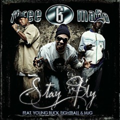 Stay Fly (feat. Young Buck & 8Ball & MJG)