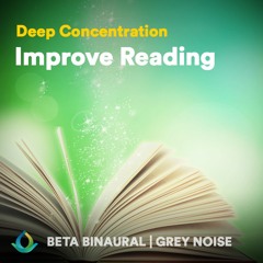 STUDY/FOCUS Beta B.B.s