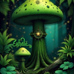 PROMO SET/ Eclipsy 19 e 20/04 🕉️