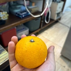 사랑일뿐야 커버