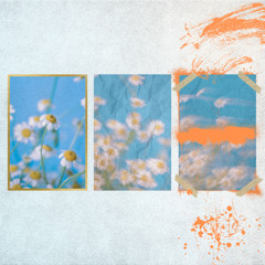 Don't Wanna let You Fall In Love