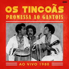 Promessa Ao Gantois (Ao Vivo 1980)