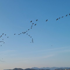 Kovács_Homage à Strauss&DeFalla for Clarinet