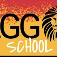 PURO SHUNE MIX OLD SCHOOL REGGAE