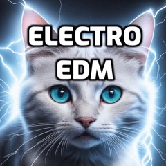 Pure Electro (EDM) Chillout Relaxing Easy Listening Electronic Dance Music Beats