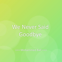 We Never Said Goodbye