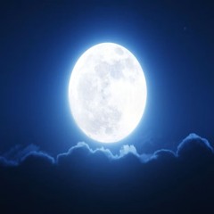 Moonflower (instrumental)