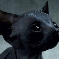 no se escribir (prod. dogmurd)