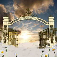 Poohbenji x Cfn Trezzy - Heaven Gate
