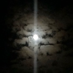 you're it 22 prod. dead marauder