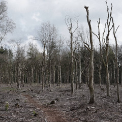 Empty Lands