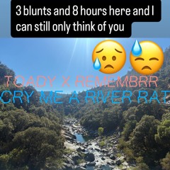 toady x remembrr - cry me a river rat