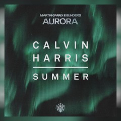 Martin Garrix & Blinders Vs. Calvin Harris - Aurora Summer (VORTEX Mashup)
