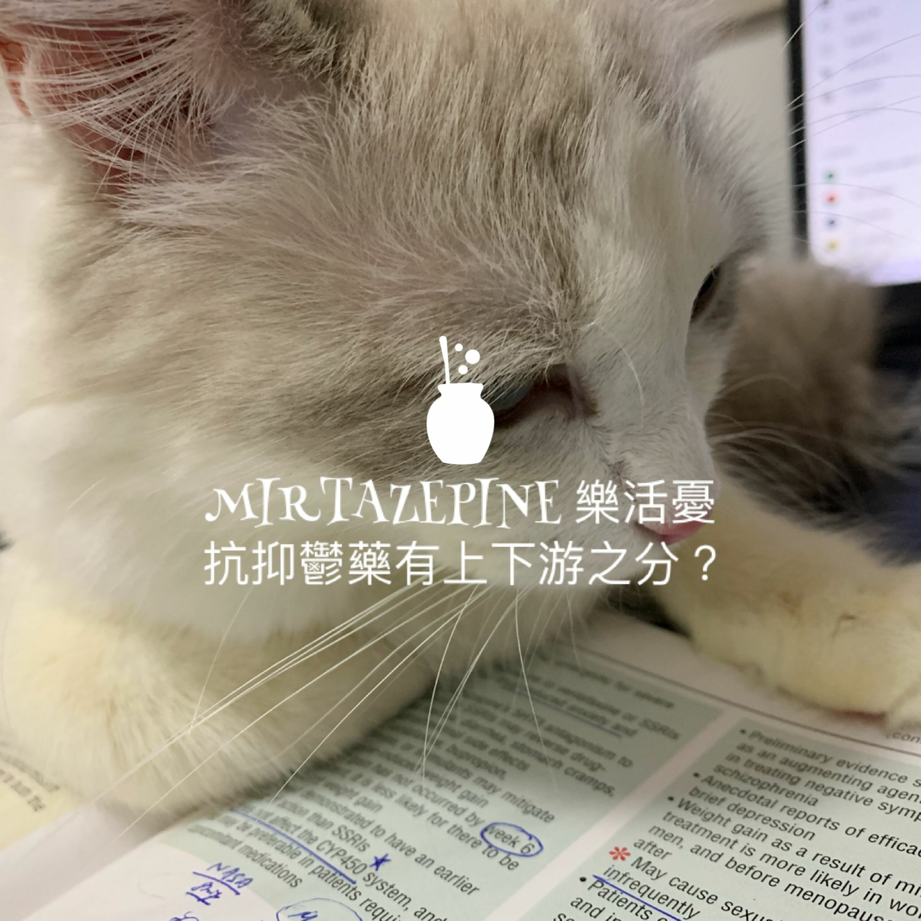 精神醫學三分鐘 —— 樂活憂 Mirtazapine 屬於下游藥物?抗抑鬱藥也分上游與下游