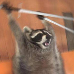 暴れん坊将軍 9gag