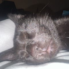 moi j'ai pas envie (prod. lilpute)