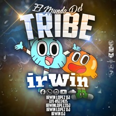 EL MUNDO DEL TRIBE - IRWIN DJ