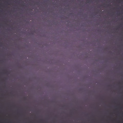 slap in the face (prod. boyfifty)