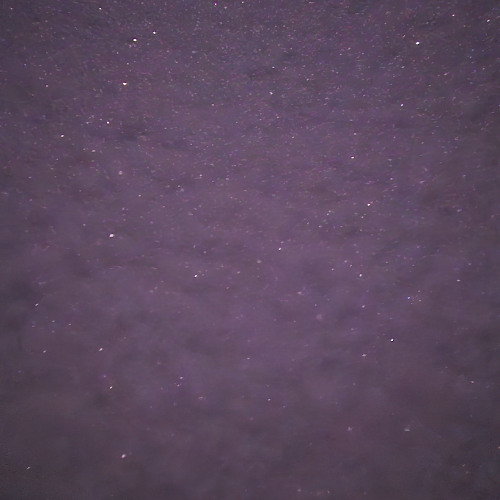 slap in the face (prod. boyfifty)