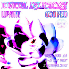 Digital Delicacies004: Oso Feo + wyatt