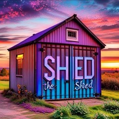 Artists in the Shed ExtraVix Neuro Mix