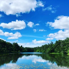 after the rain
