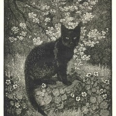 Eternity (rough draft)