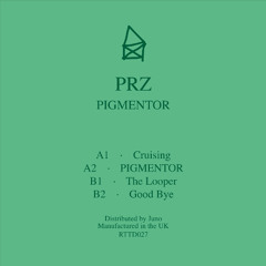 PRZ - Pigmentor EP - RTTD027 clips