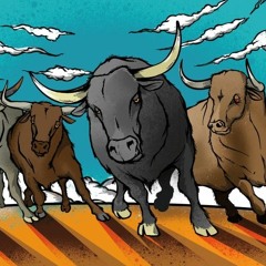 Bulls on a pathway