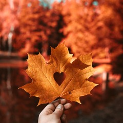 A.N.G.E.L. (A New Gorgeous Emotion of Love)