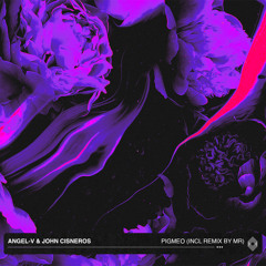 Pigmeo (MR Remix)