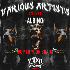 ALBINO - POP TO YOUR BRAIN