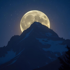 Simphony of the Night