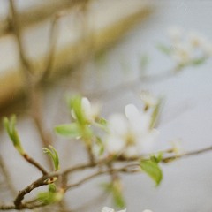 For "Embodied" @Sexyland | 15.03.2024