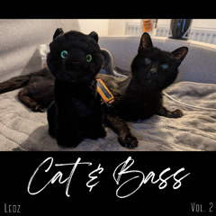 Cat and Bass - Volume 2 (Influences)