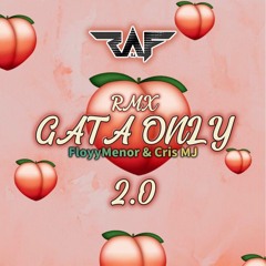 GATA ONLY (SHATTA 2.0)