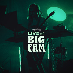 LIVE @ Big Fam 2025 - [FULL SET]