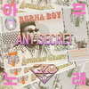 Burna Boy - Secret (C-Bu 'Any Song' Blend)