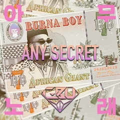 Burna Boy - Secret (C-Bu 'Any Song' Blend)