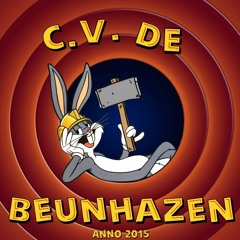 CV DE PARTYCRASHERS (t’zal voor 2026 worden)