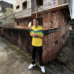 lpt zlatan - vou descer minha favela de nave (remix) by freitinha
