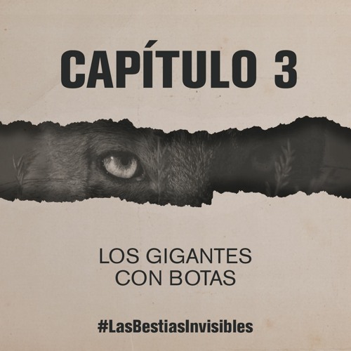 Capitu botas