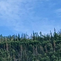 Mary on a cross chorus vocal cover