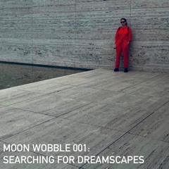 Moon Wobble 001: Searching for Dreamscapes