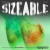 下载视频: The Sizeable Mix Vol. 17: Angel D'lite