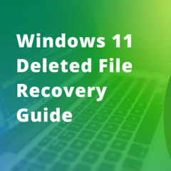 Windows 11 Deleted File Recovery Guide – 7 Data Recovery Experts Podcast