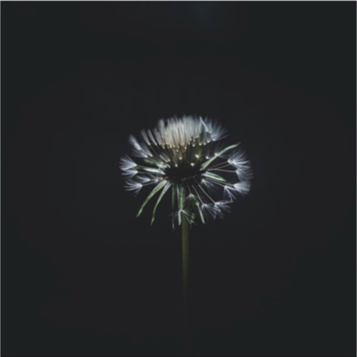 Feeling - 6