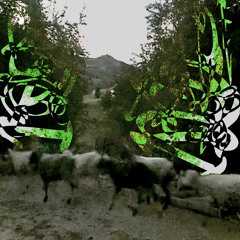 countingsheep