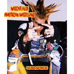 NASCAR ALOE - AMERICAN WASTELAND