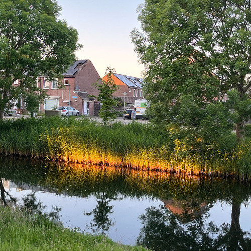 Uyan Karanlık Uykundan